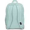 image:imageJansport JS0A2SDD7S1 Cool Student Laptop Backpack Coconut 15 inches  Ergonomic Straps Waterbottle Pocket Campus Weekender Travel RucksackFresh Mint