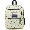 image:imageJanSport Laptop Backpack  Computer Bag with 2 Compartments Ergonomic Shoulder Straps 15 Laptop Sleeve Haul Handle  Faded SageA Bugs Vibe