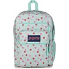image:imageJanSport Laptop Backpack  Computer Bag with 2 Compartments Ergonomic Shoulder Straps 15 Laptop Sleeve Haul Handle  Faded SageApple Orchard Magic