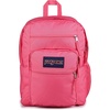 Posh Pink