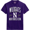 Northwestern Wildcats