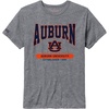 Auburn Tigers