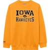 Iowa Hawkeyes