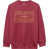 Iowa State Cyclones