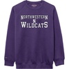 Northwestern Wildcats