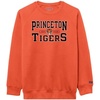 Princeton Tigers