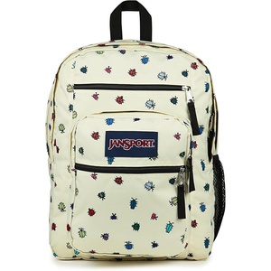 image:imageJanSport Laptop Backpack  Computer Bag with 2 Compartments Ergonomic Shoulder Straps 15 Laptop Sleeve Haul Handle  Faded SageA Bugs Vibe