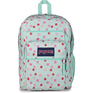 image:imageJanSport Laptop Backpack  Computer Bag with 2 Compartments Ergonomic Shoulder Straps 15 Laptop Sleeve Haul Handle  Faded SageApple Orchard Magic