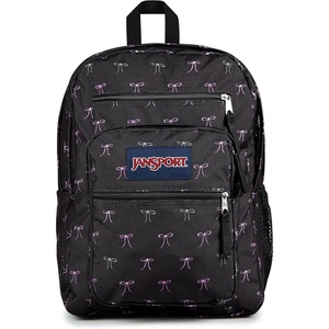 image:imageJanSport Laptop Backpack  Computer Bag with 2 Compartments Ergonomic Shoulder Straps 15 Laptop Sleeve Haul Handle  Faded SageBad Bows