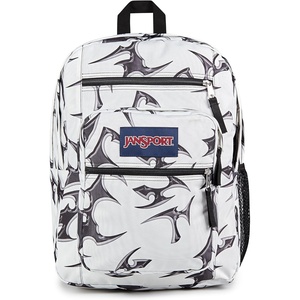 image:imageJanSport Laptop Backpack  Computer Bag with 2 Compartments Ergonomic Shoulder Straps 15 Laptop Sleeve Haul Handle  Faded SageCyber Silver White