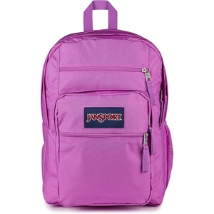 image:imageJanSport Laptop Backpack  Computer Bag with 2 Compartments Ergonomic Shoulder Straps 15 Laptop Sleeve Haul Handle  Faded SageDigital Fuchsia