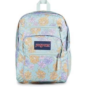 image:imageJanSport Laptop Backpack  Computer Bag with 2 Compartments Ergonomic Shoulder Straps 15 Laptop Sleeve Haul Handle  Faded SageFaded Floral Fresh Mint