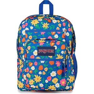 image:imageJanSport Laptop Backpack  Computer Bag with 2 Compartments Ergonomic Shoulder Straps 15 Laptop Sleeve Haul Handle  Faded SageFlower Market