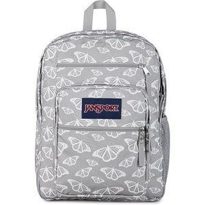 image:imageJanSport Laptop Backpack  Computer Bag with 2 Compartments Ergonomic Shoulder Straps 15 Laptop Sleeve Haul Handle  Faded SageFlutter By Grey