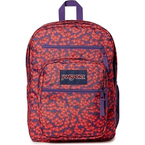 image:imageJanSport Laptop Backpack  Computer Bag with 2 Compartments Ergonomic Shoulder Straps 15 Laptop Sleeve Haul Handle  Faded SageForget Me Not Red Tape