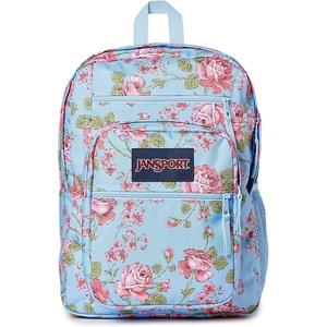 image:imageJanSport Laptop Backpack  Computer Bag with 2 Compartments Ergonomic Shoulder Straps 15 Laptop Sleeve Haul Handle  Faded SageGarden Roses Hydrangea