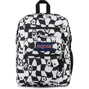 image:imageJanSport Laptop Backpack  Computer Bag with 2 Compartments Ergonomic Shoulder Straps 15 Laptop Sleeve Haul Handle  Faded SageGravity Check
