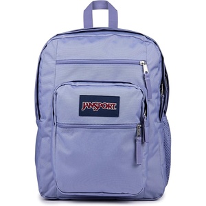 image:imageJanSport Laptop Backpack  Computer Bag with 2 Compartments Ergonomic Shoulder Straps 15 Laptop Sleeve Haul Handle  Faded SageLavender Ash