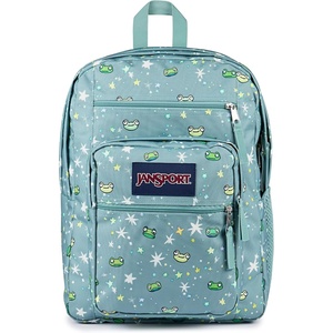 image:imageJanSport Laptop Backpack  Computer Bag with 2 Compartments Ergonomic Shoulder Straps 15 Laptop Sleeve Haul Handle  Faded SageLeapin Lillies