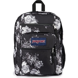 image:imageJanSport Laptop Backpack  Computer Bag with 2 Compartments Ergonomic Shoulder Straps 15 Laptop Sleeve Haul Handle  Faded SageMagnolia Mirage