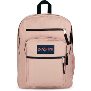 image:imageJanSport Laptop Backpack  Computer Bag with 2 Compartments Ergonomic Shoulder Straps 15 Laptop Sleeve Haul Handle  Faded SageMisty Rose