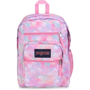 image:imageJanSport Laptop Backpack  Computer Bag with 2 Compartments Ergonomic Shoulder Straps 15 Laptop Sleeve Haul Handle  Faded SageNeon Daisy