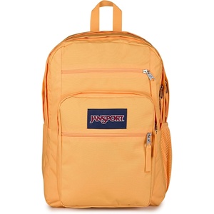 image:imageJanSport Laptop Backpack  Computer Bag with 2 Compartments Ergonomic Shoulder Straps 15 Laptop Sleeve Haul Handle  Faded SageOrange Soda