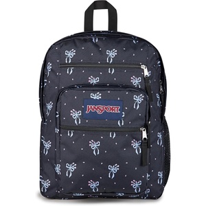image:imageJanSport Laptop Backpack  Computer Bag with 2 Compartments Ergonomic Shoulder Straps 15 Laptop Sleeve Haul Handle  Faded SagePastel Petals