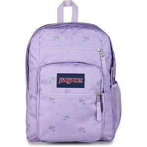 image:imageJanSport Laptop Backpack  Computer Bag with 2 Compartments Ergonomic Shoulder Straps 15 Laptop Sleeve Haul Handle  Faded SagePastel Petals Lilac