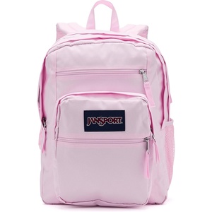 image:imageJanSport Laptop Backpack  Computer Bag with 2 Compartments Ergonomic Shoulder Straps 15 Laptop Sleeve Haul Handle  Faded SagePink Ice