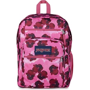 image:imageJanSport Laptop Backpack  Computer Bag with 2 Compartments Ergonomic Shoulder Straps 15 Laptop Sleeve Haul Handle  Faded SagePop Art Pansies