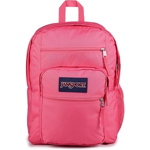image:imageJanSport Laptop Backpack  Computer Bag with 2 Compartments Ergonomic Shoulder Straps 15 Laptop Sleeve Haul Handle  Faded SagePosh Pink