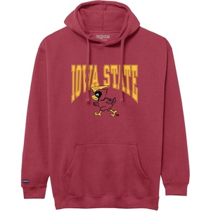 image:imageJanSport NCAA Officially Licensed Rival Hoodie Long Sleeve Unisex Sweatshirt CottonPolyester Blend DoubleLayered HoodIowa State Cyclones