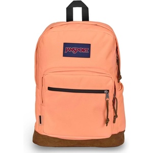image:imageJanSport Right Pack Backpack  Durable Daypack with Padded 15 Laptop Sleeve Spacious Main Compartment amp Integrated Water Bottle Pocket  Moon FlowerPeach Neon